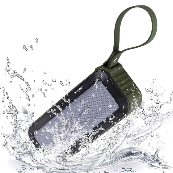 اسپیکر دبلیو کینگ W-King S20اصلی
